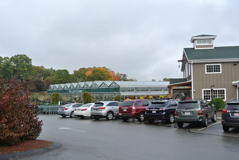 Jim Sells Needham - Volante Farms
