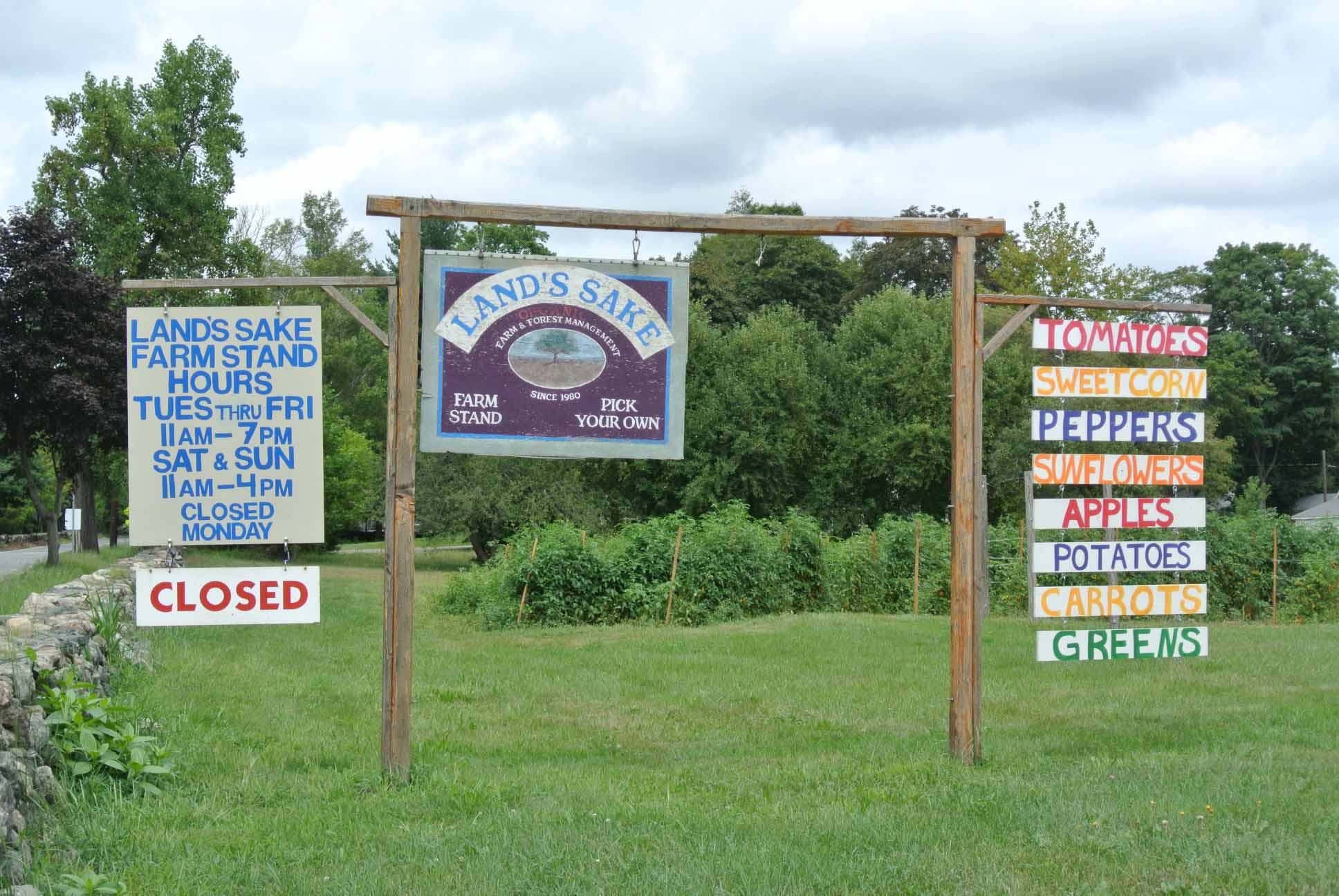 Jim Sells Weston - Landsake's Pick your own farm