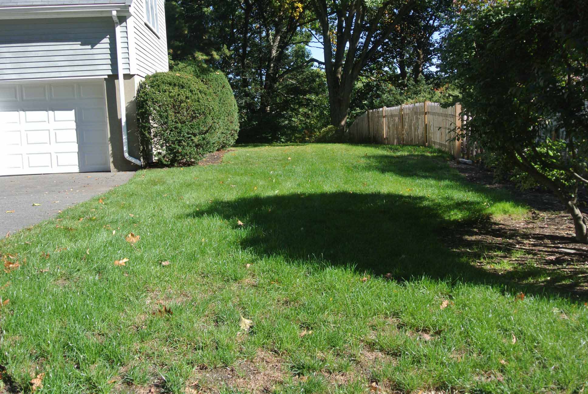 185 Paul Revere Road Needham MA 02494 | Front Elevation/Yard