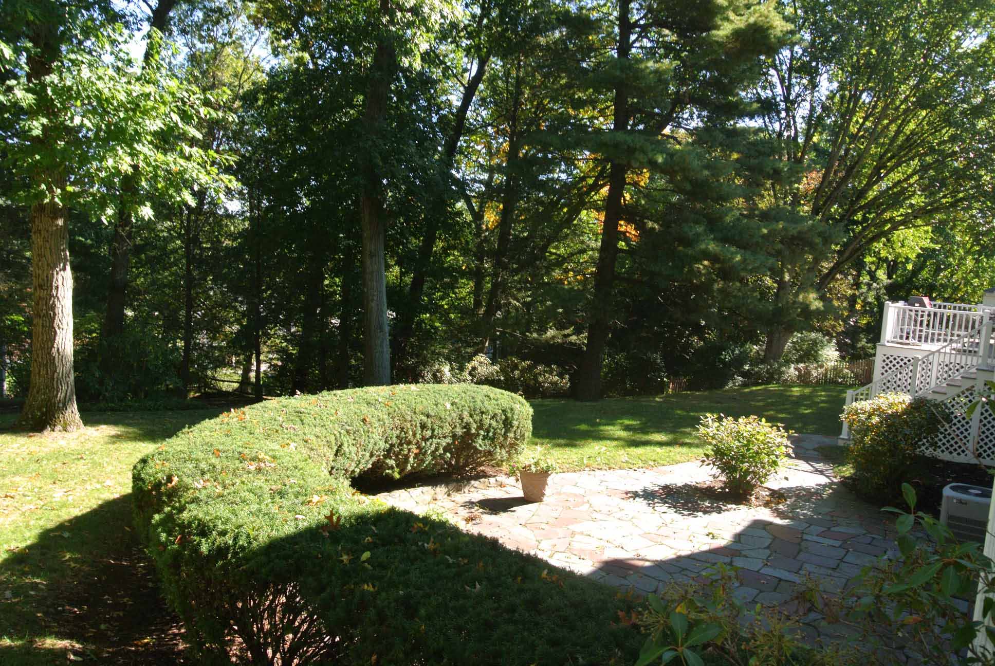 185 Paul Revere Road Needham MA 02494 | Back Yard