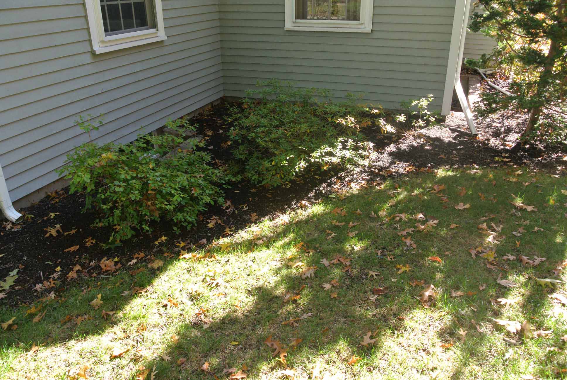 185 Paul Revere Road Needham MA 02494 | Front Elevation/Yard