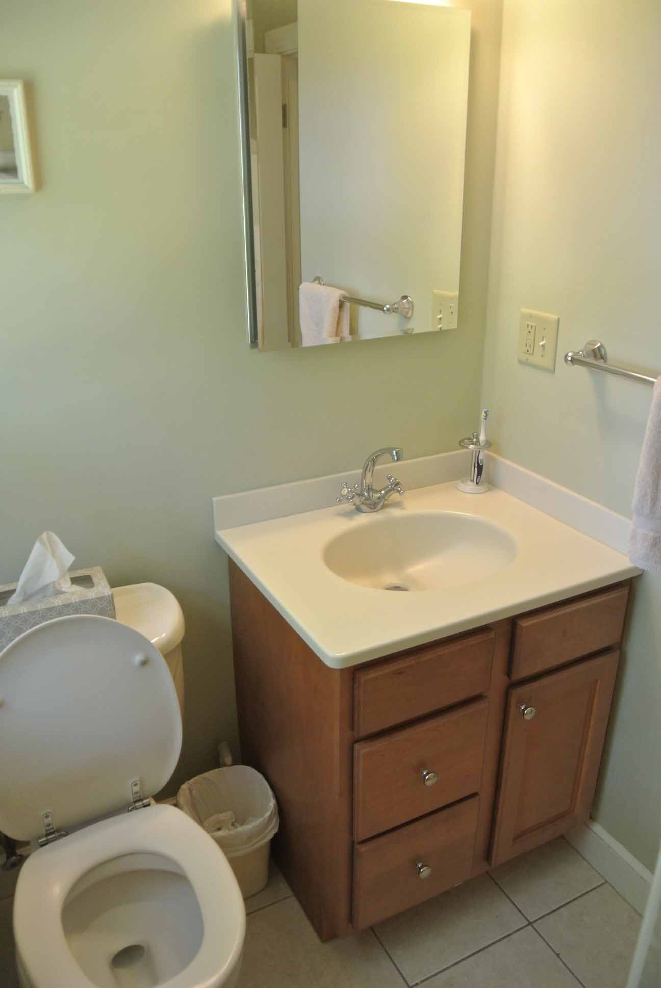 185 Paul Revere Road Needham MA 02494 | Master Bathroom