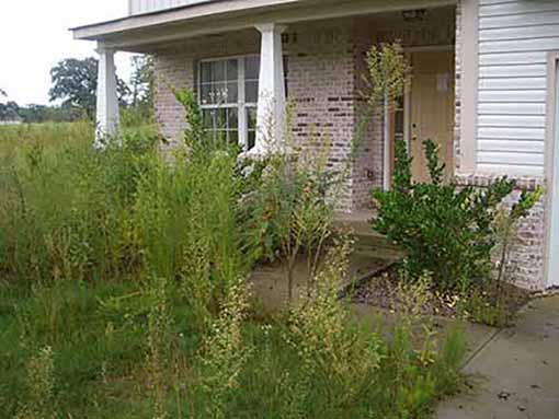 Stigmatized by Yard Appearance